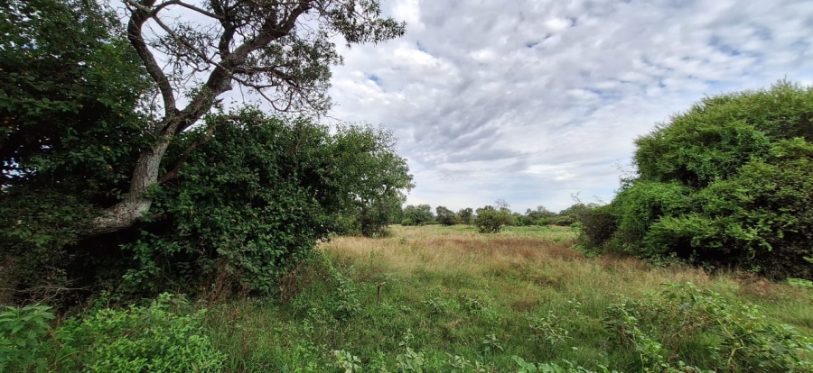 2 Bedroom Property for Sale in Koster North West